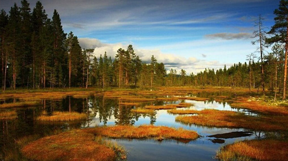 Velké mechové jezírko (31 km od apartmánů)